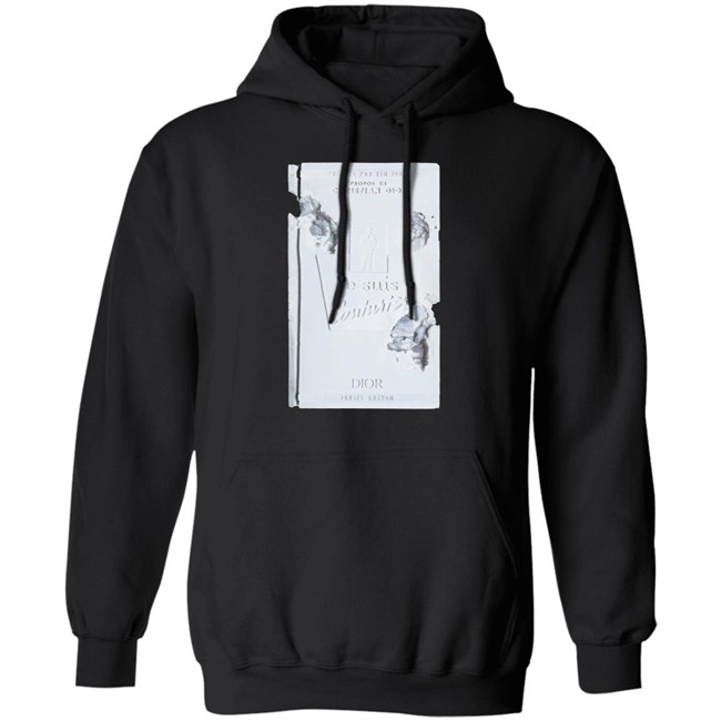 3d Eroded Dior And Daniel Arsham Print Dior Hoodie Dior Hoodies Sweatshirt With 3d Eroded Dior And Daniel Arsham Print