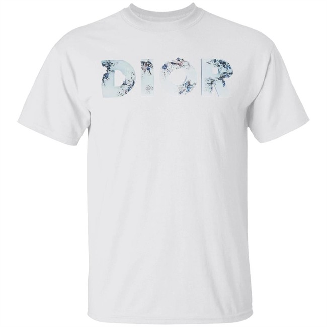 Arsham Erorded Logo Dior Shirt BLACK COTTON JERSEY T-SHIRT WITH DIOR AND DANIEL ARSHAM ERODED LOGO 3D PRINT