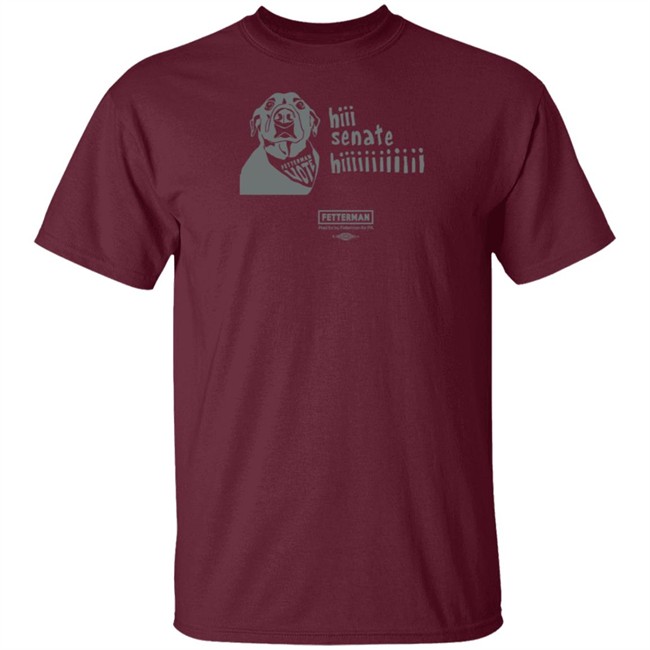 Levi Fetterman Hi Senate Hii T Shirt Levi Fetterman Hi Senate Hii T Shirt