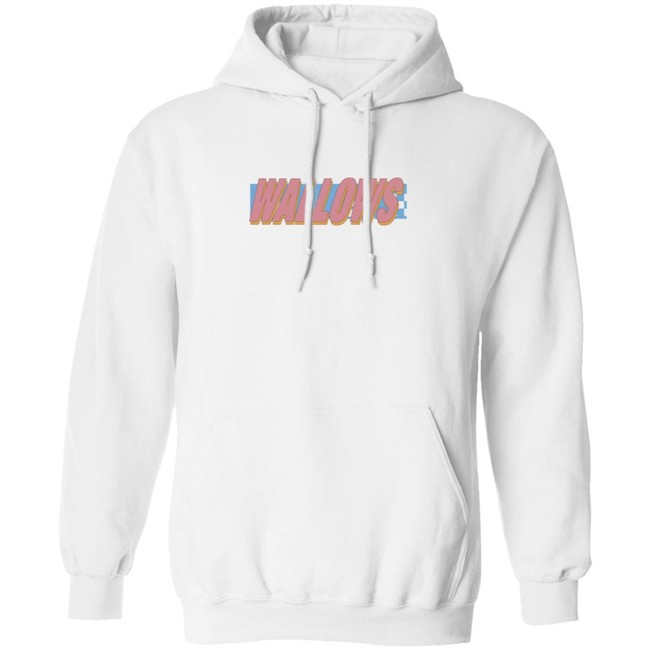 Wallows Music Wallows Warped Logo Hoodie