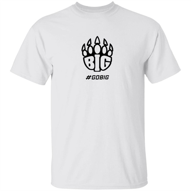 Big Origins Hoodie Big Origins Hoodie