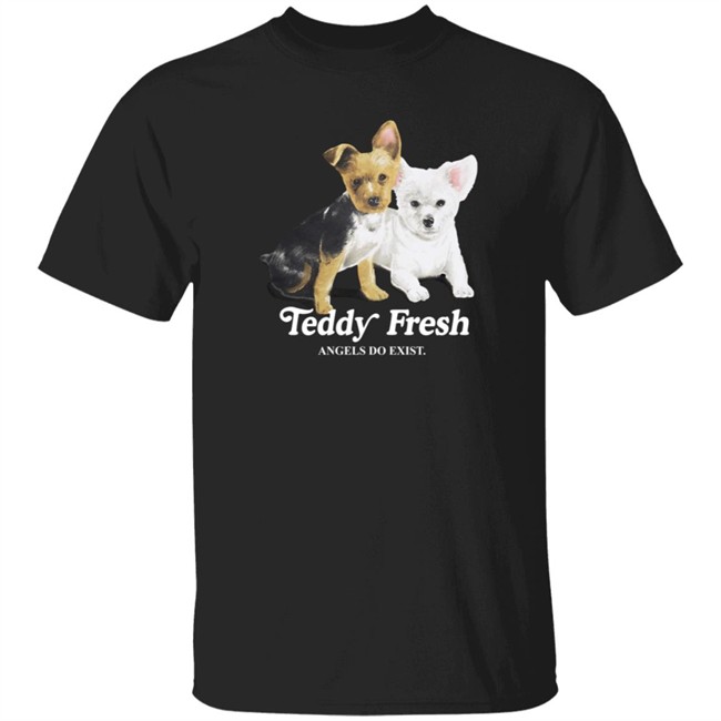 Teddy Fresh Merch Teddy Fresh Angel Do Exist T Shirt