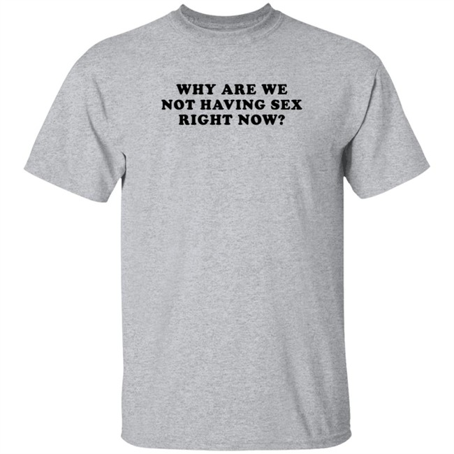 Why Are We Not Having Sex Right Now T Shirt Chloe Temple Duc - Why Are We Not Having Sex Right Now T Shirt Chloe Temple