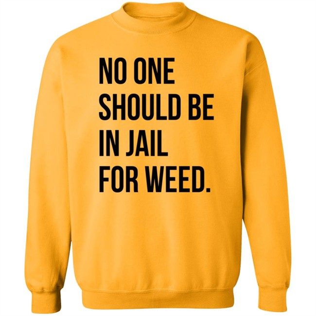We Go High Shop No One Should Be In Jail For Weed T Shirt Gisele Barreto Fetterman We Go High Shop No One Should Be In Jail For Weed T Shirt Gisele Barreto Fetterman
