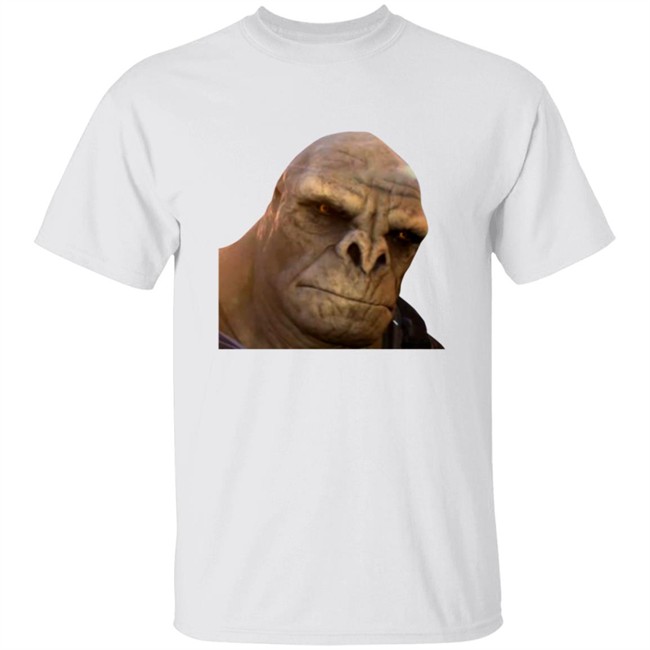 Halo Infinite Meme Tee Shirt