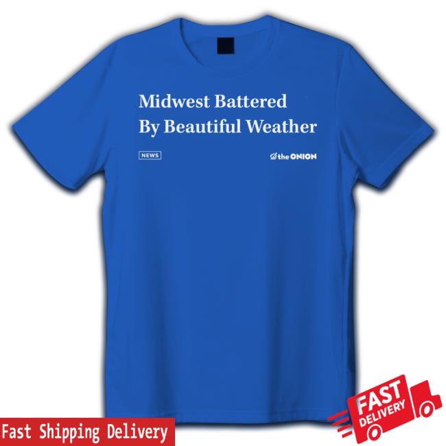 Official Raygun Merch The Onion Beautiful Weather Shirt The Onion Beautiful Weather Tee