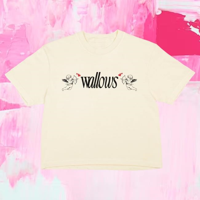 Street Style Wallows Angel Crop Tee Top