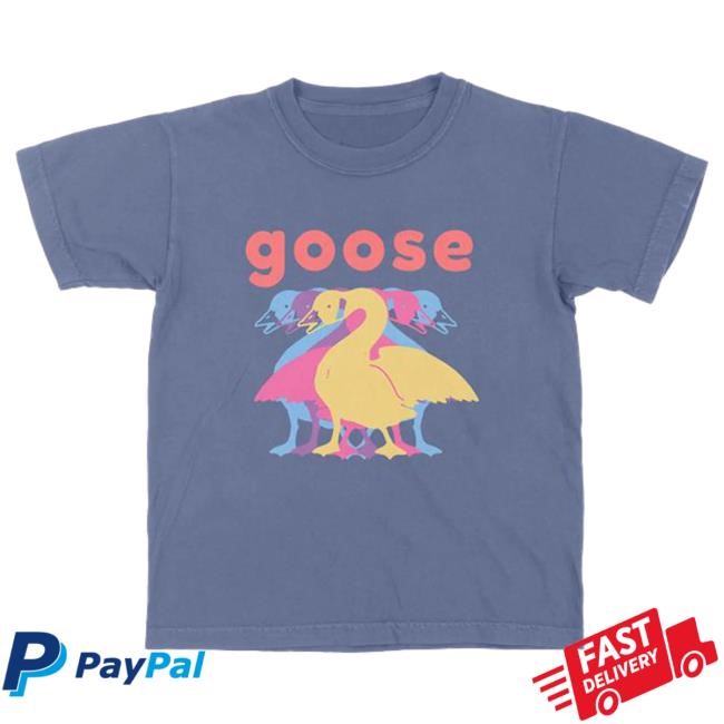 Official Goose The Band Merch 5 Logo Kids Tee Goosetheband