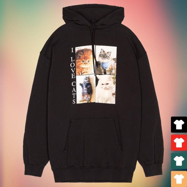 I Love Cats Hoody