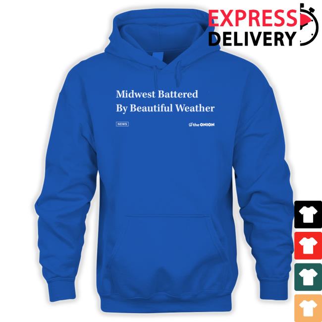Official Raygun Merch The Onion Beautiful Weather Shirt