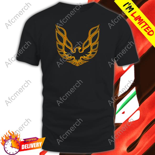 Firebird Hooded Sweatshirt Super 70s Sports Store