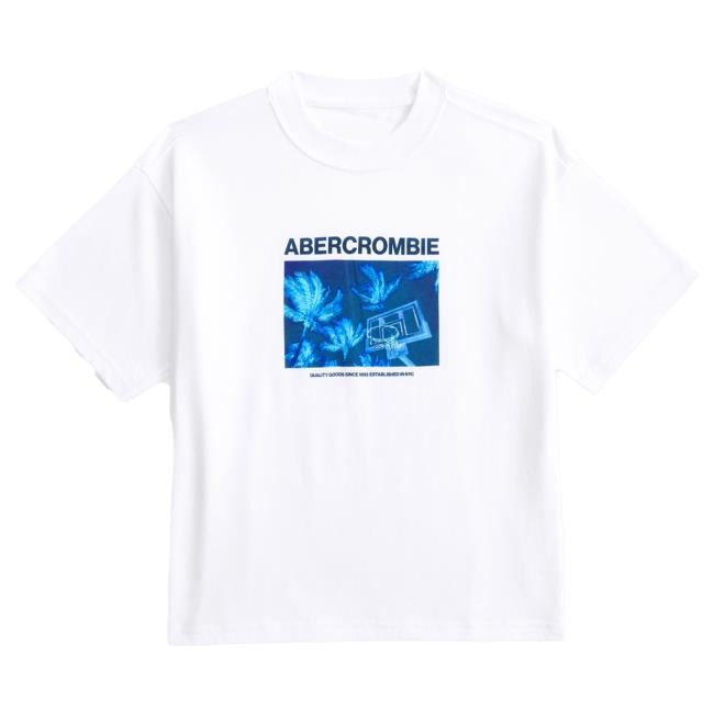 Official Abercrombie And Fitch Shop imagery graphic logo Hot Shirt