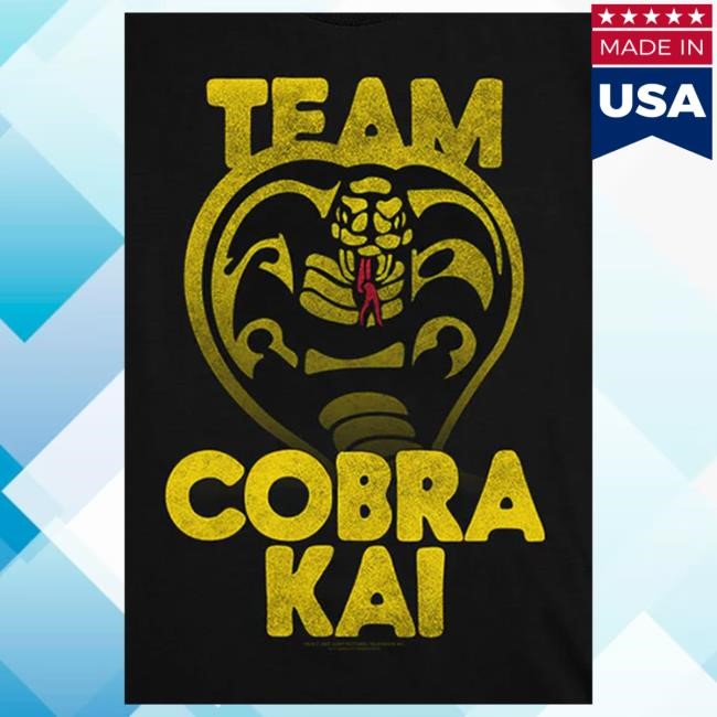 Official Cobra Kai Merch Team Cobra Kai Unisex Black Popover Shirt