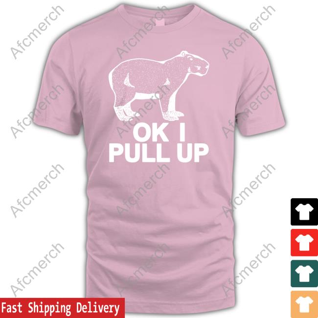 Capybara Man Merch Capybaraman Ok I Pull Up Sweatshirt