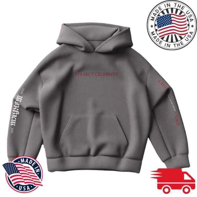 Lady Gaga Perfect Celebrity Gray Pullover Hoodie | Lady Gaga Merch Store Shop Official