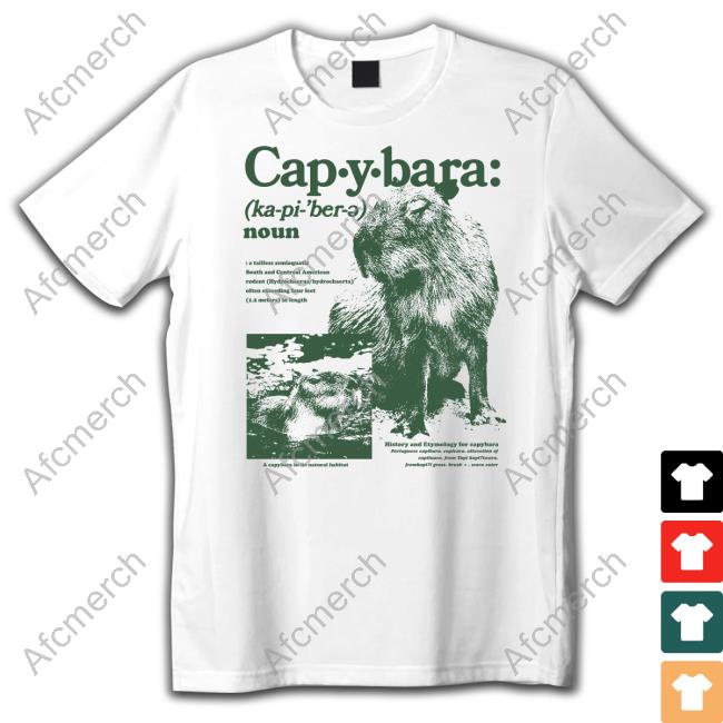 Capybara Man Merch Capybara Defined Sweatshirt Kapybara007
