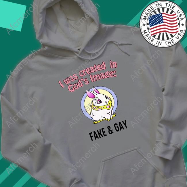I Was Created In God's Fake & Gay Tee Shirt