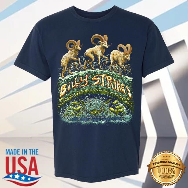 Billy Strings Merch Winter 2025 Tour Poster Tee (Miles Tsang)