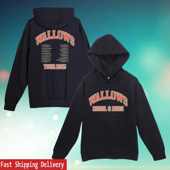 Official Wallows Store Collegiate Hoodie – May-June 2025