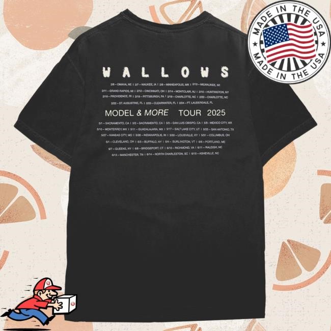 Official Wallows Merch Photo Tour Shirt – February-June 2025