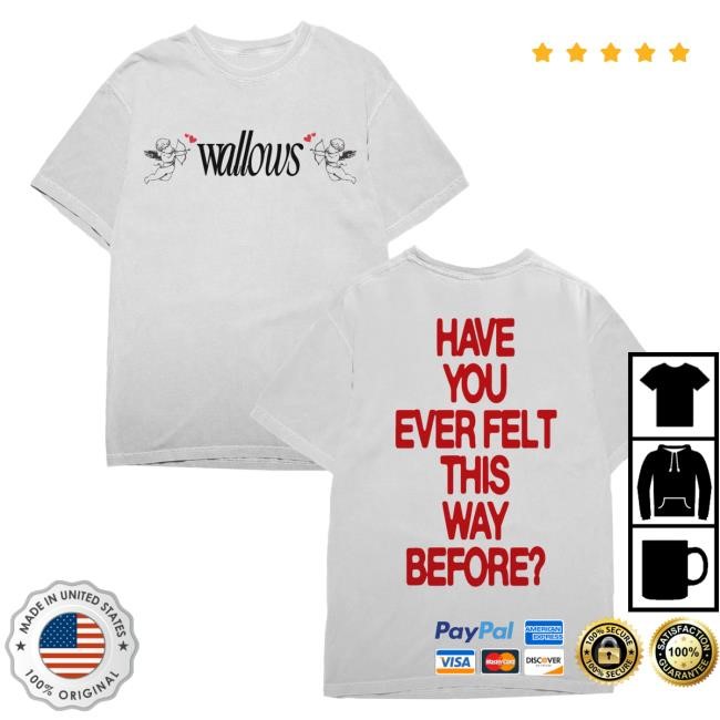 Official Wallows Merch Store Wallows Angel Tee
